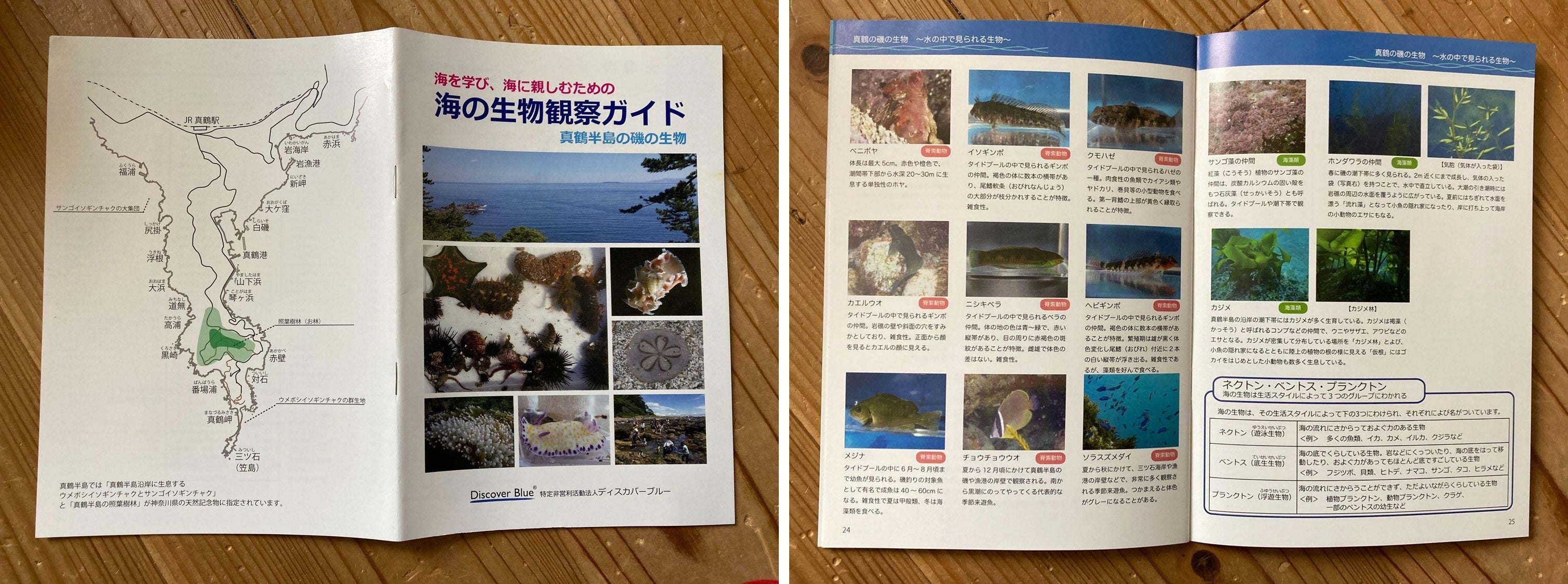 当日配布されたガイドブック