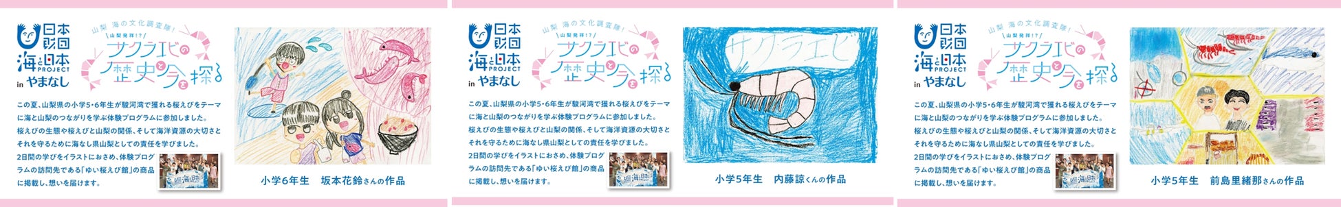 ※上記はオリジナルパッケージの一部です。