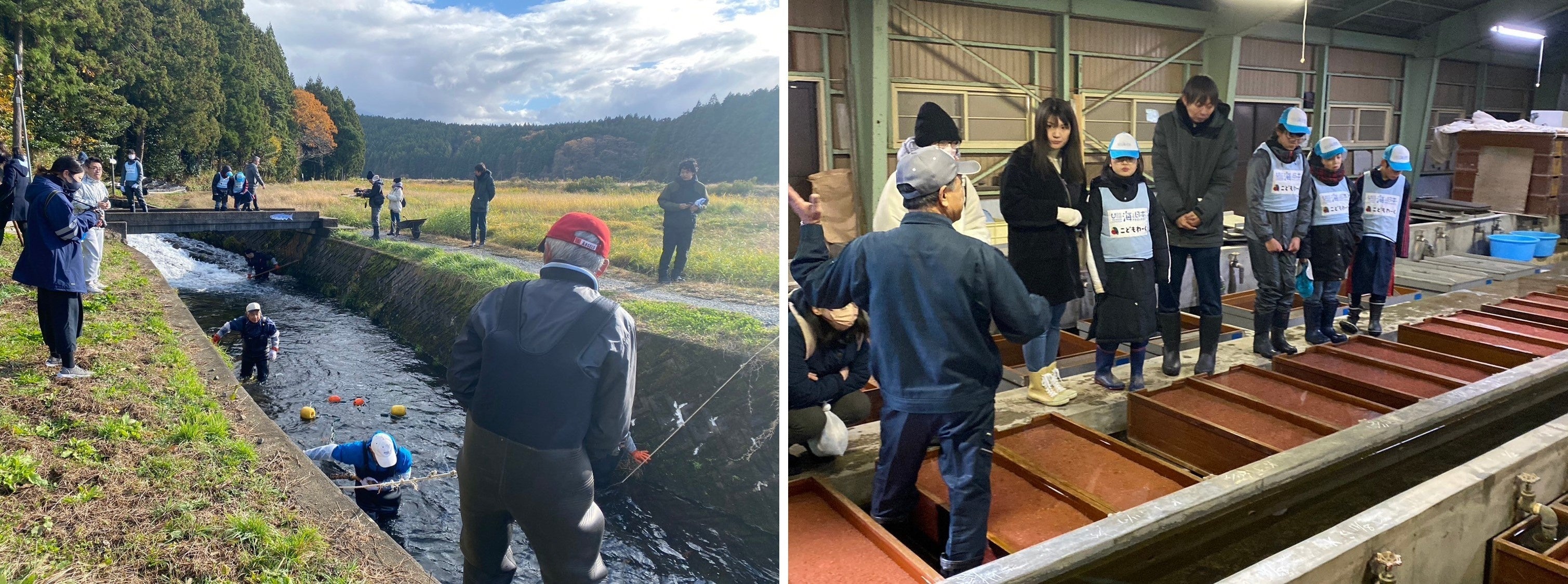 （左）追い込みの見学（右）孵化場の見学