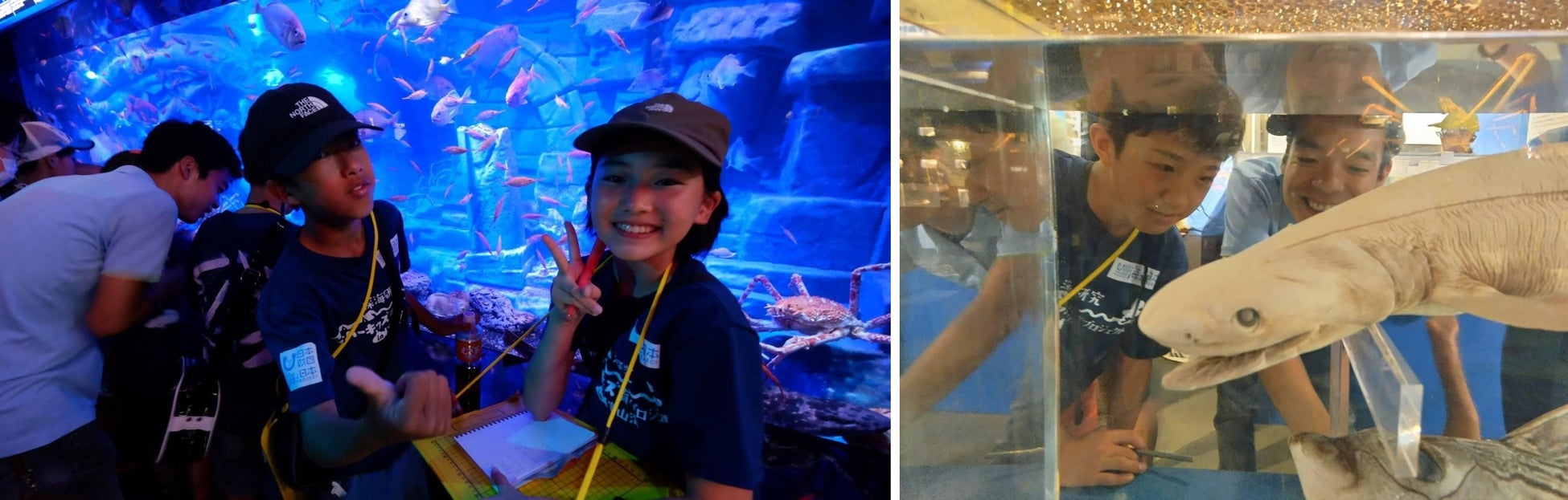 (左)駿河湾ならではの深海生物に興奮!(右)ラブカの標本に釘づけ