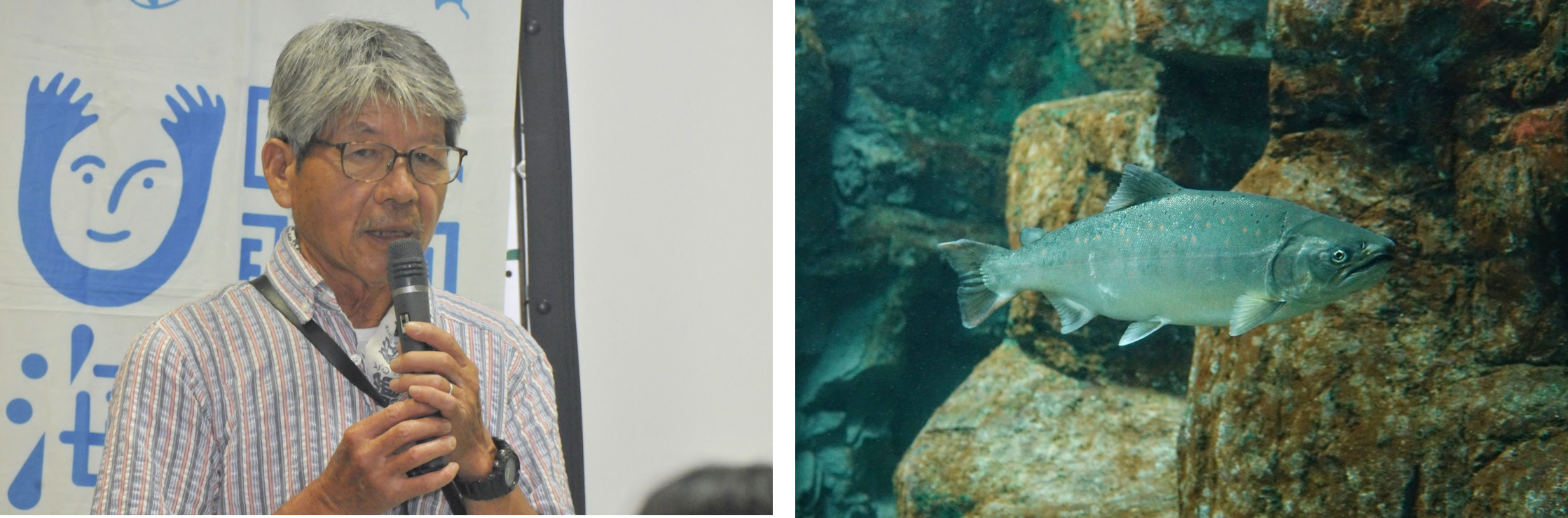 ※写真右（サツキマス）：世界淡水魚園水族館アクア・トトぎふ提供