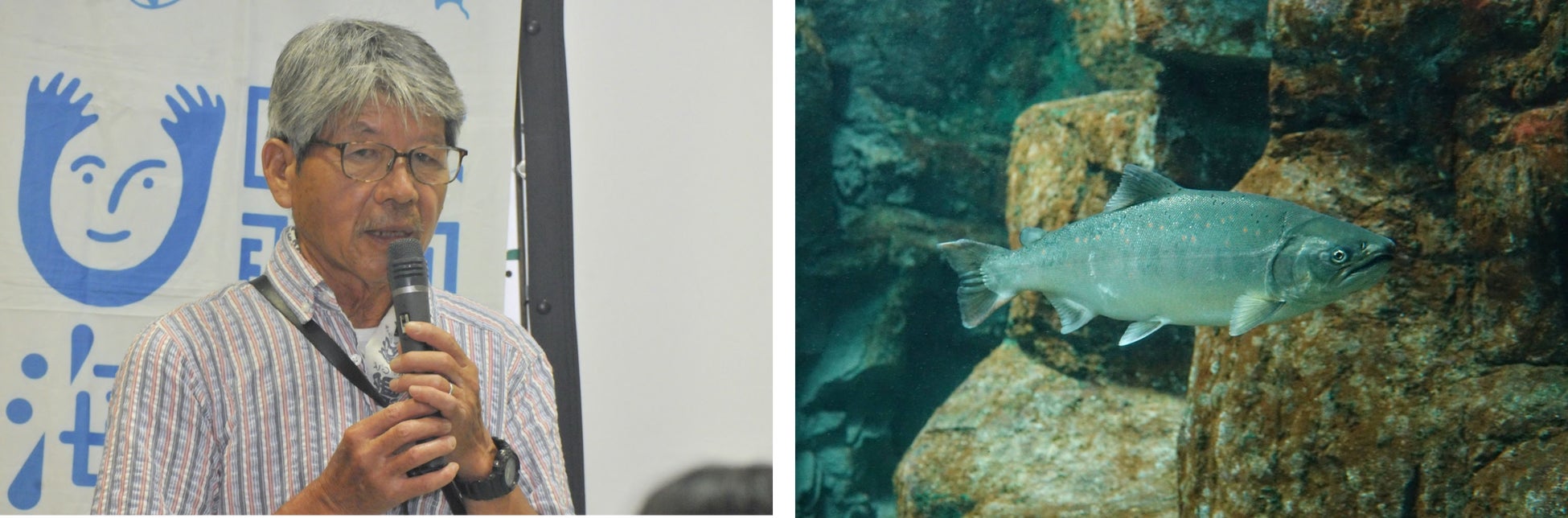 ※世界淡水魚園水族館アクア・トトぎふ提供