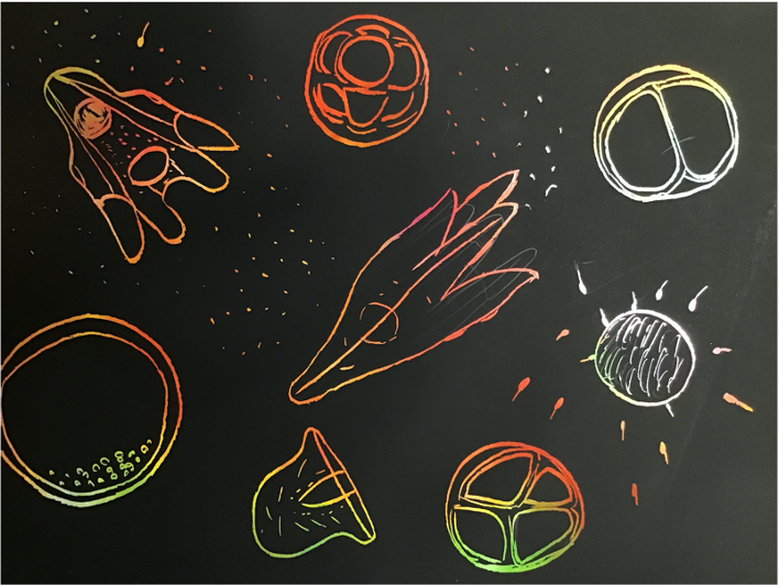 表現作品コンテスト・アート部門グランプリ作品 『漂う命』とまる（中1）」 （スクラッチボードでウニの変化する姿を表現した作品）