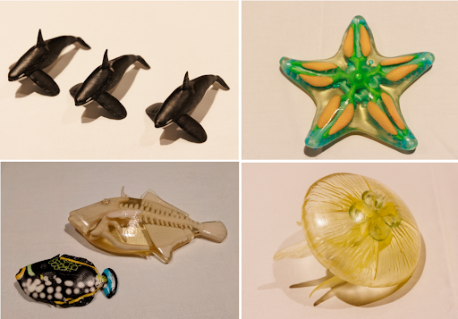 （左上から時計回り：シャチ 北半球3タイプ、ヒトデ、クラゲ、モンガラカワハギ ウマヅラハギ）
