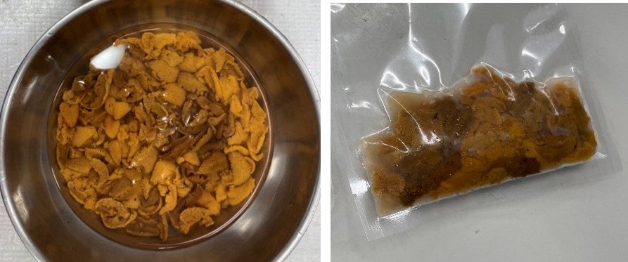 (左)冷凍前のムラサキウニ(右)冷凍したムラサキウニ