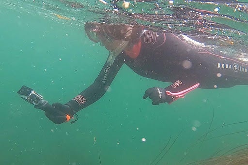 海に潜って、魚や海藻を撮影する高校生