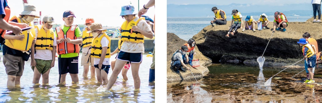 写真左:海に入って先生と生き物観察 写真右:ロックプールで小魚捕獲