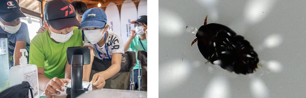 写真左:あっ、何かいるぞ! 写真右:種を同定中の甲虫を観察