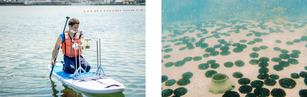 写真左:SUPで専用機材を投下 写真右:海底のハスノハカシパン