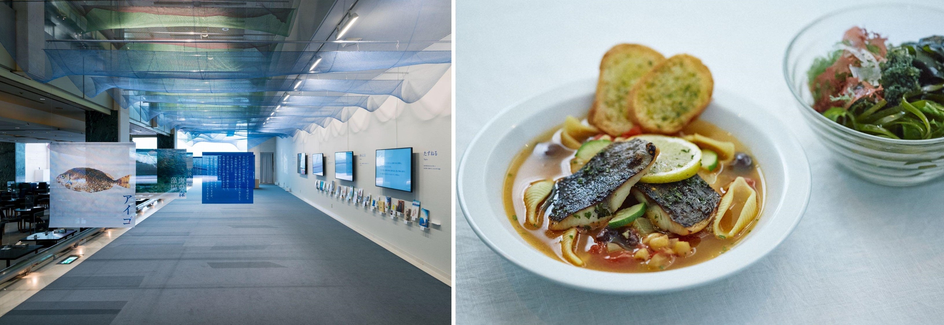 写真左：アイゴの展示の様子　 写真右：「Soup Stock Tokyo」監修による「海の森スープセット（1,380円・税込）」