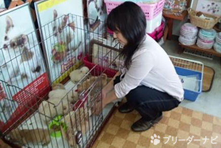 佐藤亜紀子ブリーダー