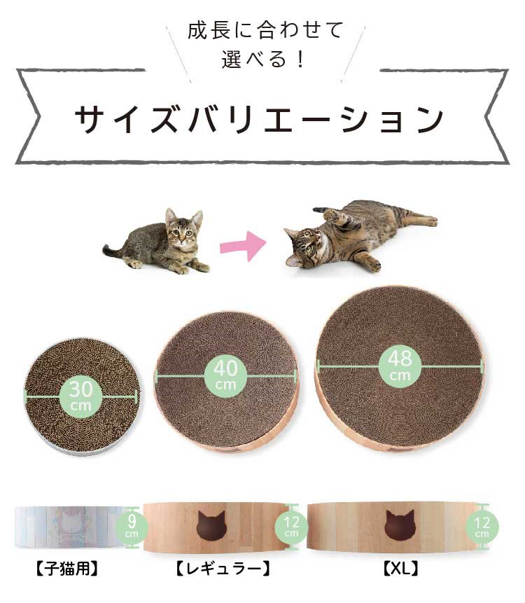 サイズバリエーション