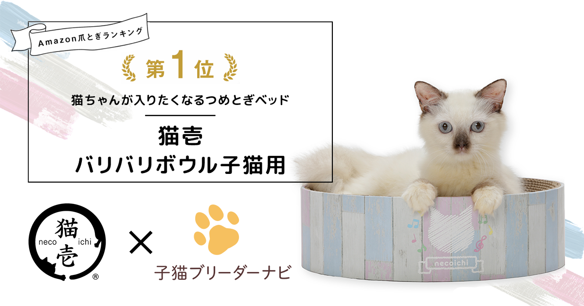 成約特典追加】子猫ブリーダーナビ『バリバリボウル子猫用』を12月より