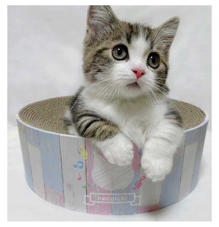 バリバリボウル