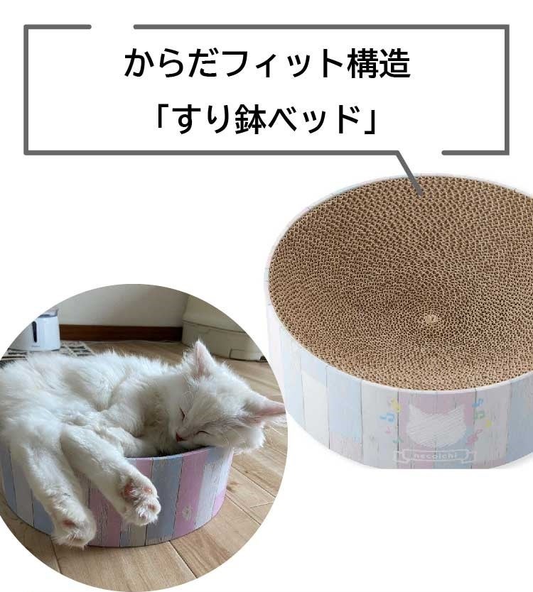 成約特典追加】子猫ブリーダーナビ『バリバリボウル子猫用』を12