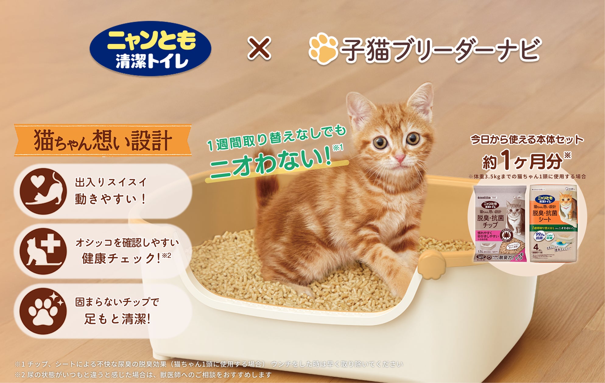 ねこ◎様確認用 chansss様☆ご確認用 チャン様 確認用 カイ様確認用 Zx Kai ねこ◎様確認用 chansss様☆ご確認用 チャン様 確認用 カイ様確認用 Zx Kai