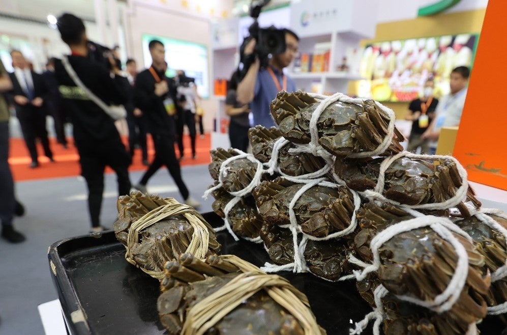 出展者の製品展示エリア（写真提供：中国国家放送、主催者提供）