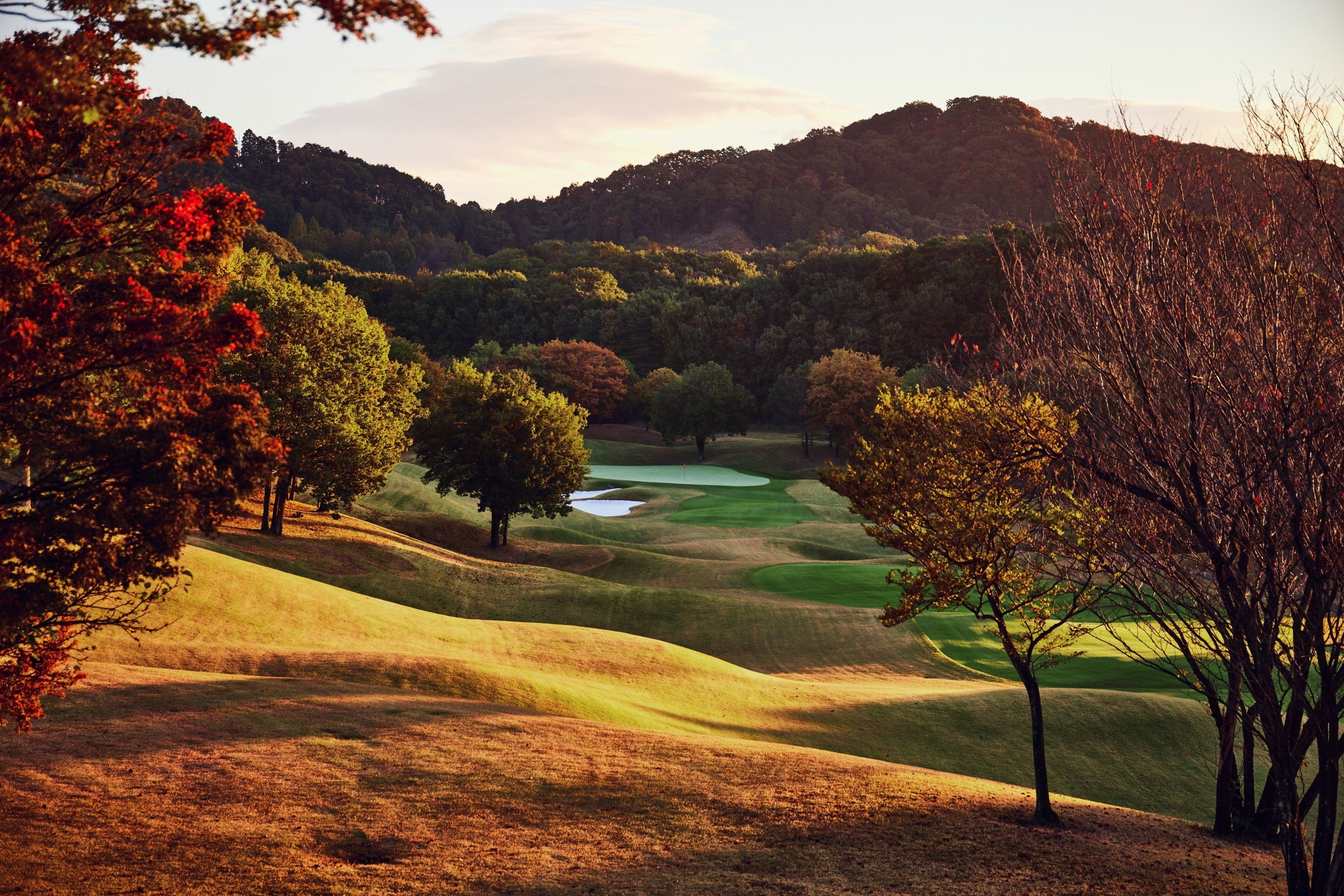 コースを取り巻く里山