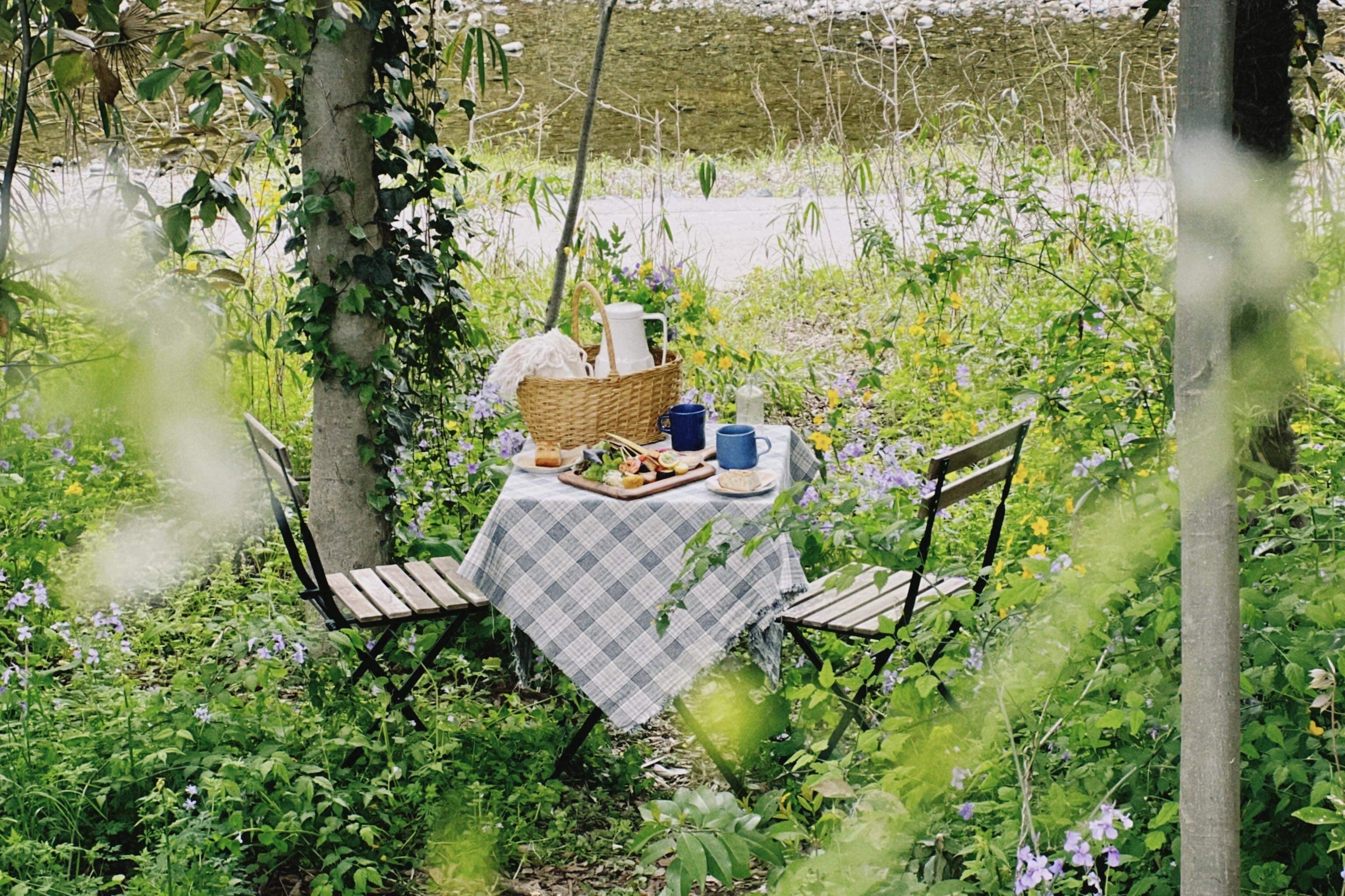 新ランチプレートはテイクアウトでピクニックも可能