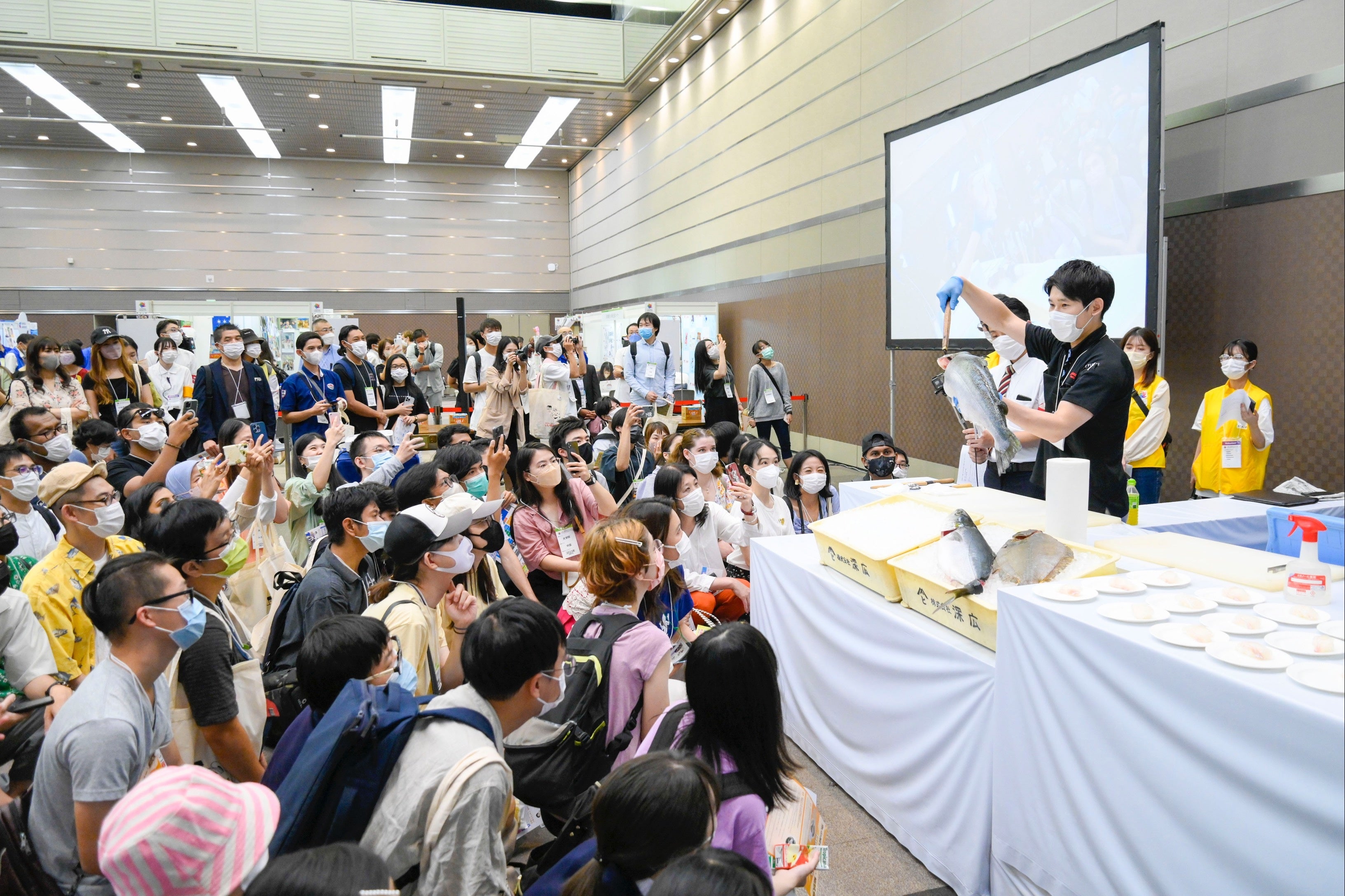 魚の解体ショー