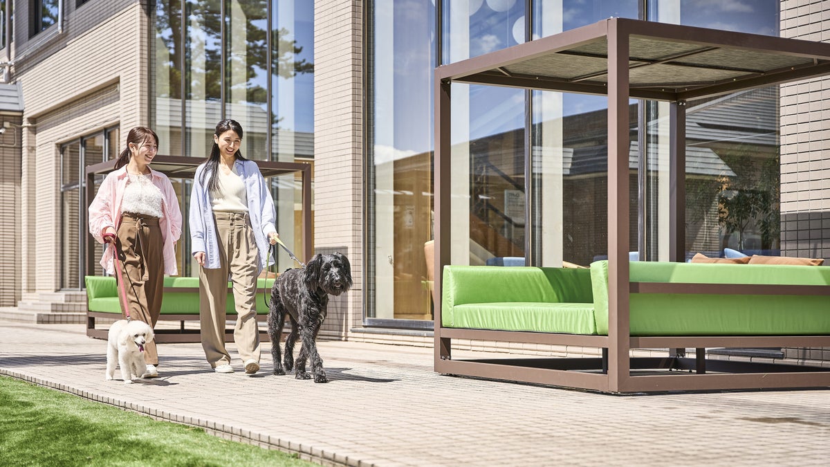 夜のドッグランが光に包まれる。大洗「Doggy’s Coast Oarai」で愛犬と楽しむイルミネーション