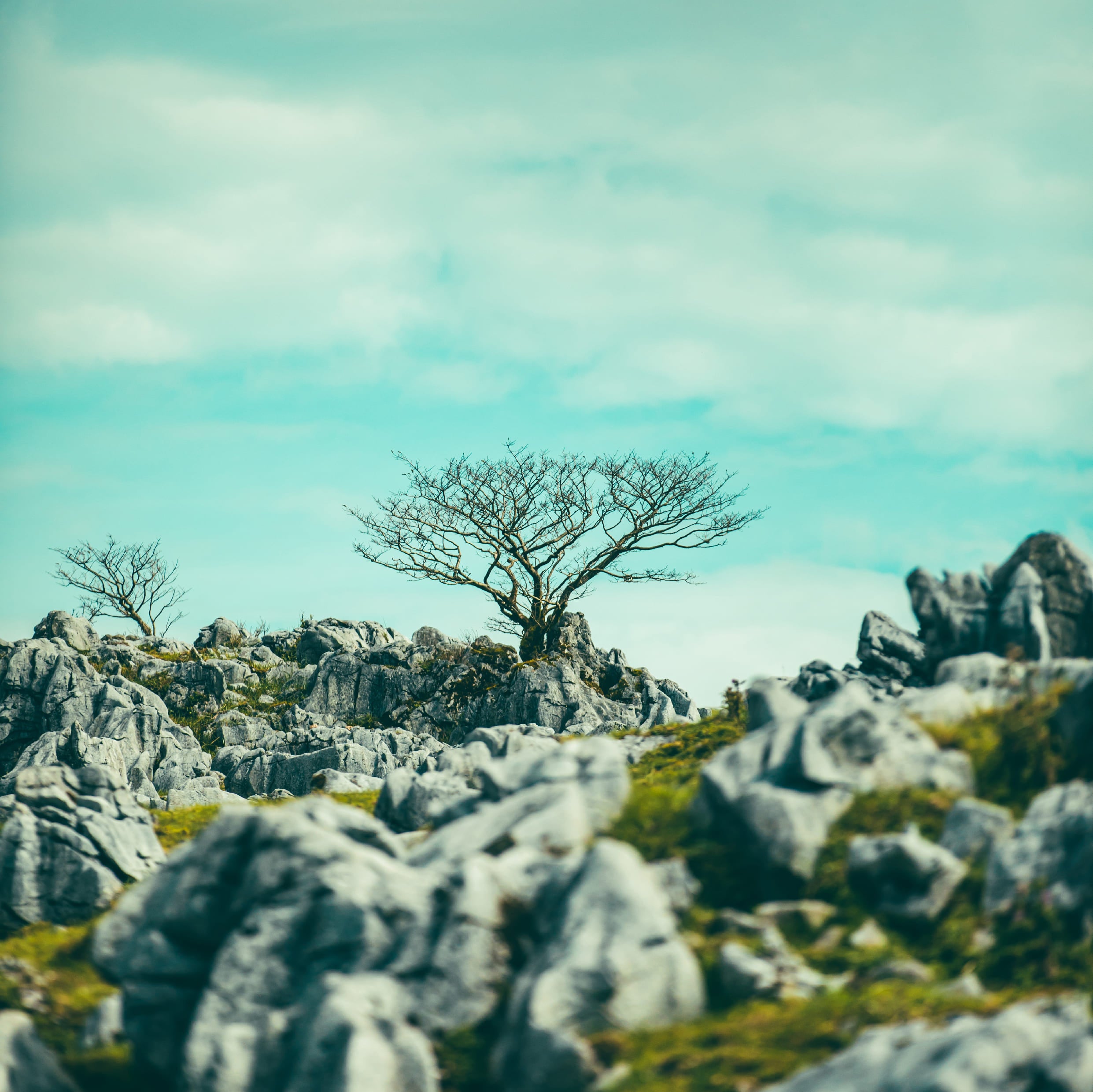 「Save Me Tonight」ジャケ写