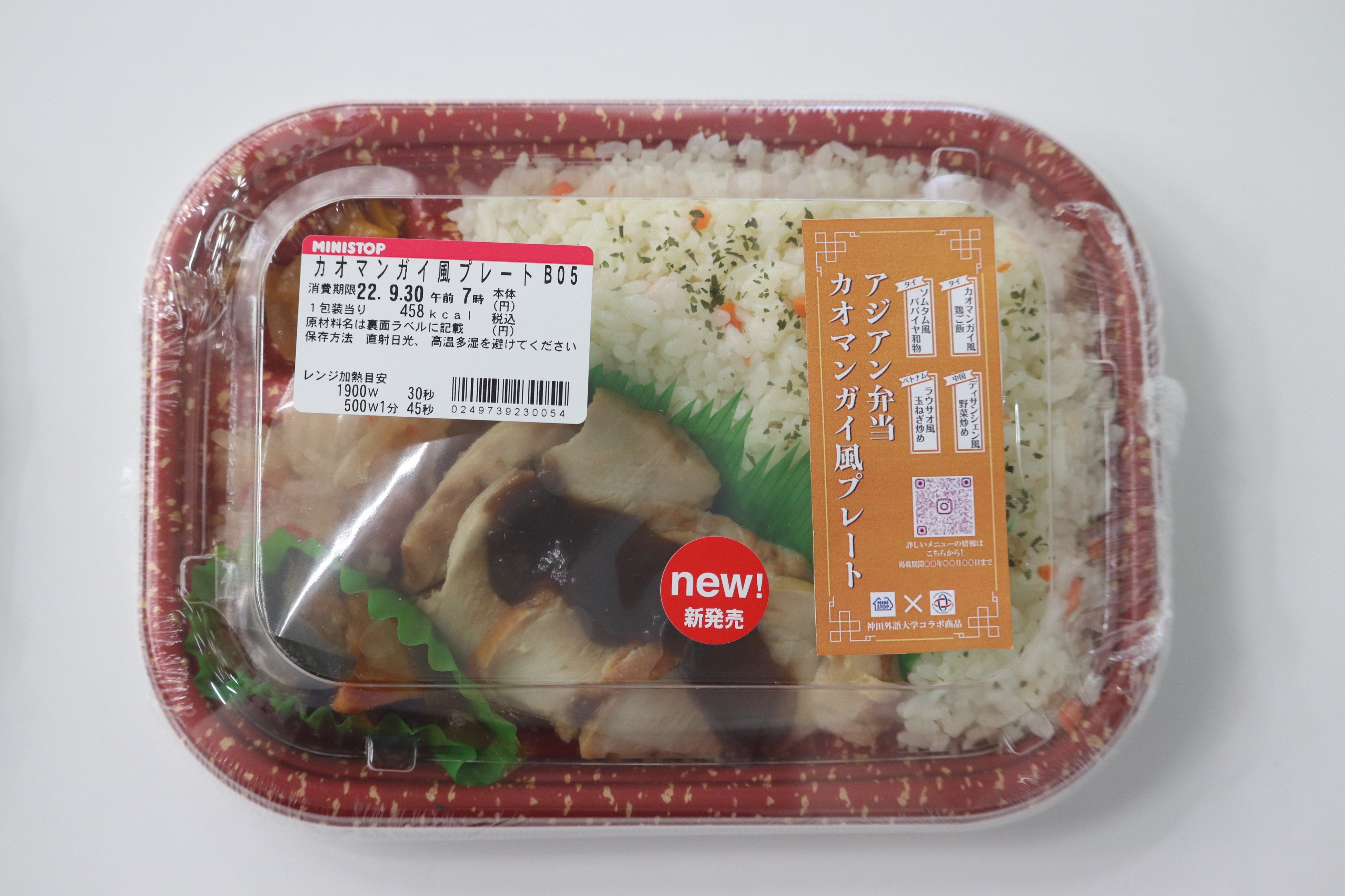 ▲アジアン弁当「カオマンガイ風プレート」