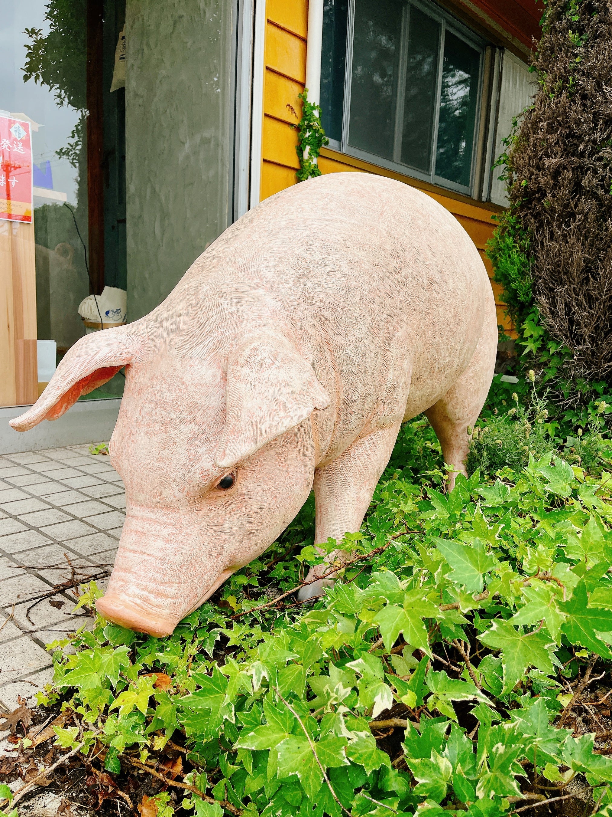 株式会社IXY-AIDのプレスリリース｜PR TIMES