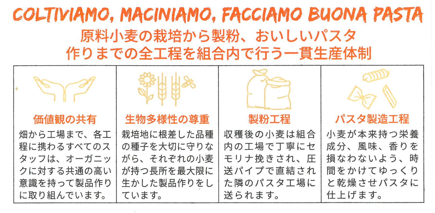 裏面　一貫体制の説明