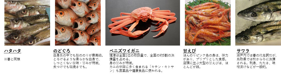 鳥取県 日本最多の種を県魚に指定 魚のプロが選ぶ季節ごとの魚を 四季の県魚 に 鳥取県のプレスリリース 鳥取県 日本最多の種を県魚に指定 魚のプロが選ぶ季節ごとの魚を 四季の県魚 に 鳥取県のプレスリリース
