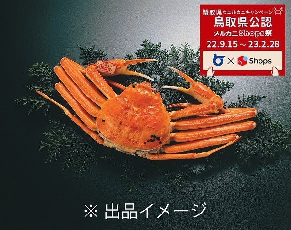 蟹×旅”をテーマに蟹取県をもっと身近カニ感じていただけるおすすめ