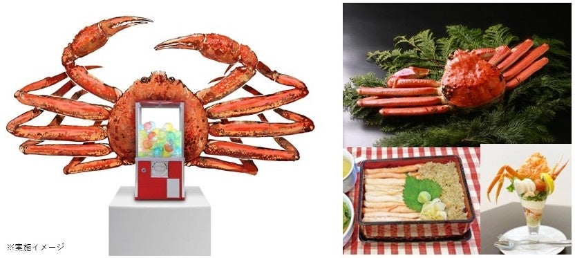今年もカニの価格が高騰する中ワンコインで高級食材 松葉がに が当たるチャンス 蟹取県の 蟹ガチャ 当たれ 松葉がに 鳥取県のプレスリリース 今年もカニの価格が高騰する中ワンコインで高級食材 松葉がに が当たるチャンス 蟹取県の 蟹ガチャ 当たれ 松葉がに 鳥取県のプレスリリース