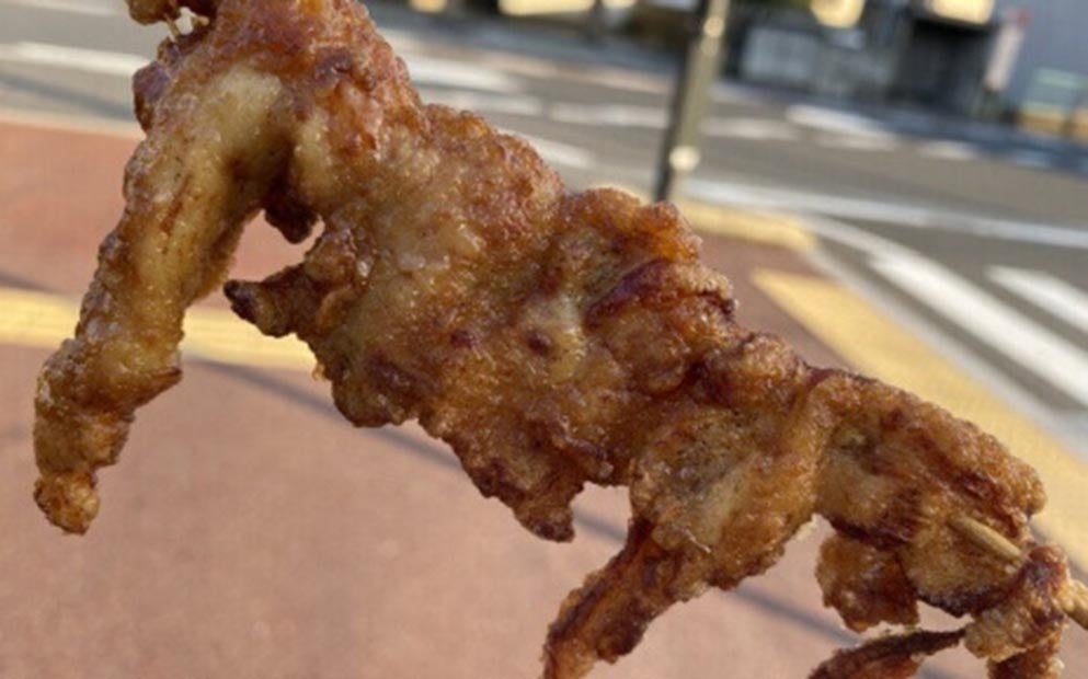 鳥取県で開催!ワンコインで当たる鳥取開運旅行券! 鳥取県で開催!ワンコインで当たる鳥取開運旅行券!