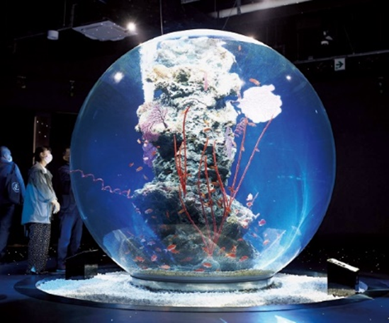 AQUARIUM×ART átoa（アトア）