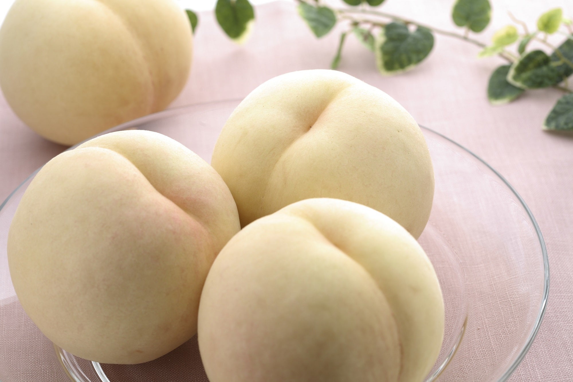 岡山県里庄町で人気の返礼品