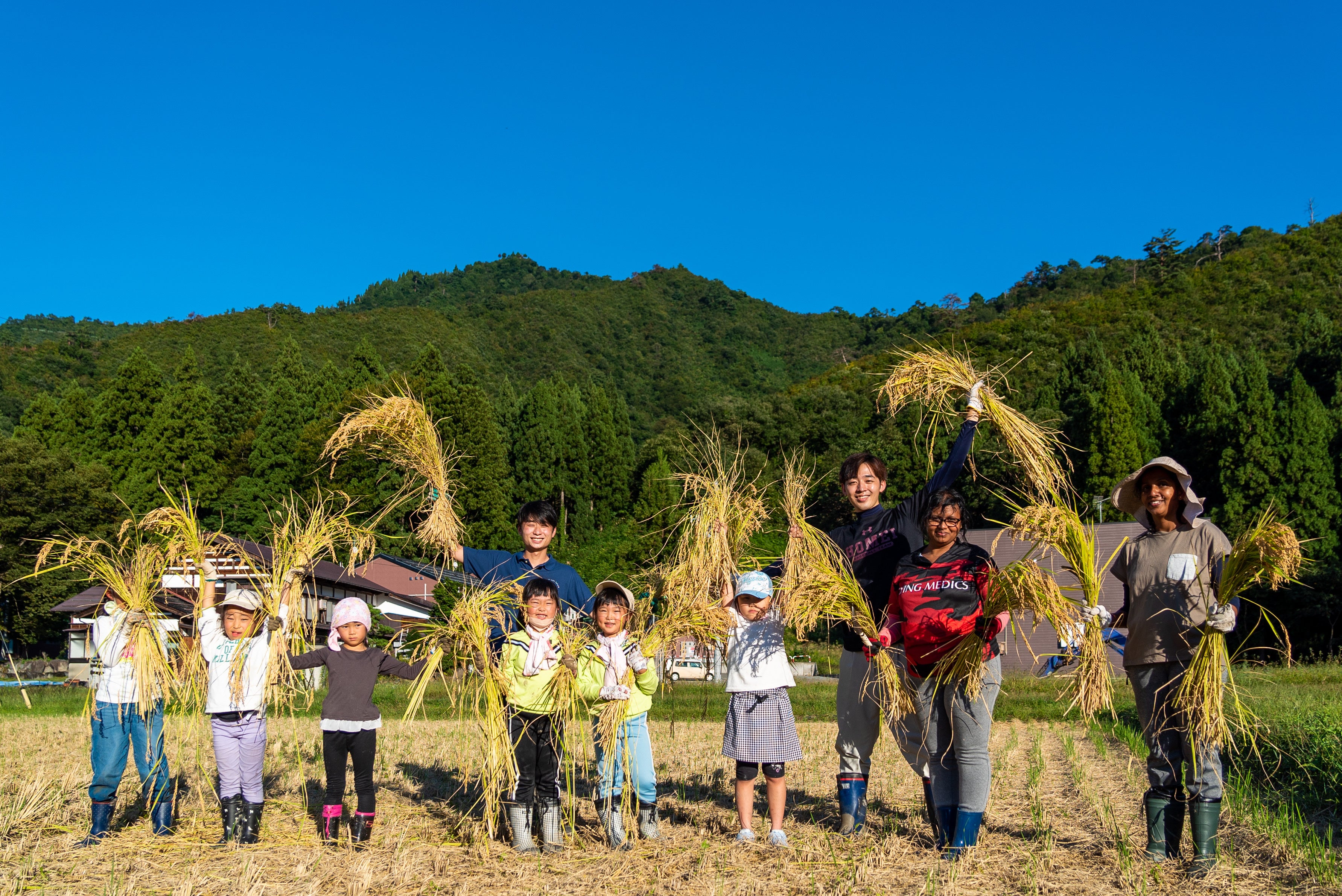 地域の子どもたちと稲刈りの様子