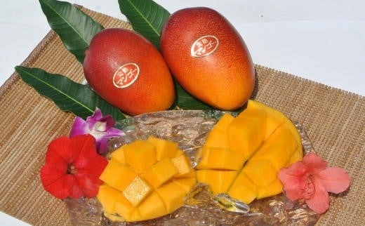 鹿児島県指宿市で人気の返礼品