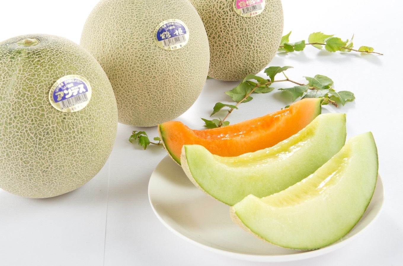 山形県鶴岡市で人気の返礼品