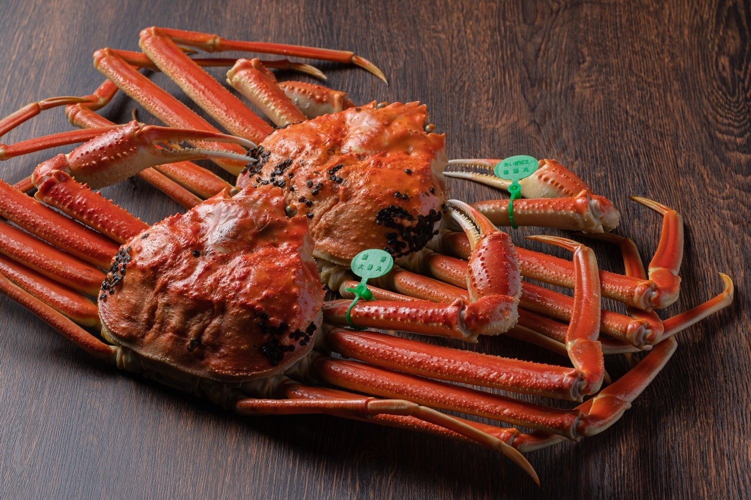 京都府京丹後市で人気の返礼品