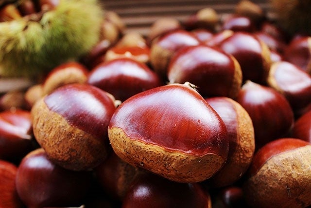 ホクホクした食感が特徴の「丹波くり」