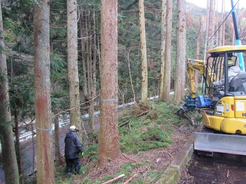 里山整備の風景