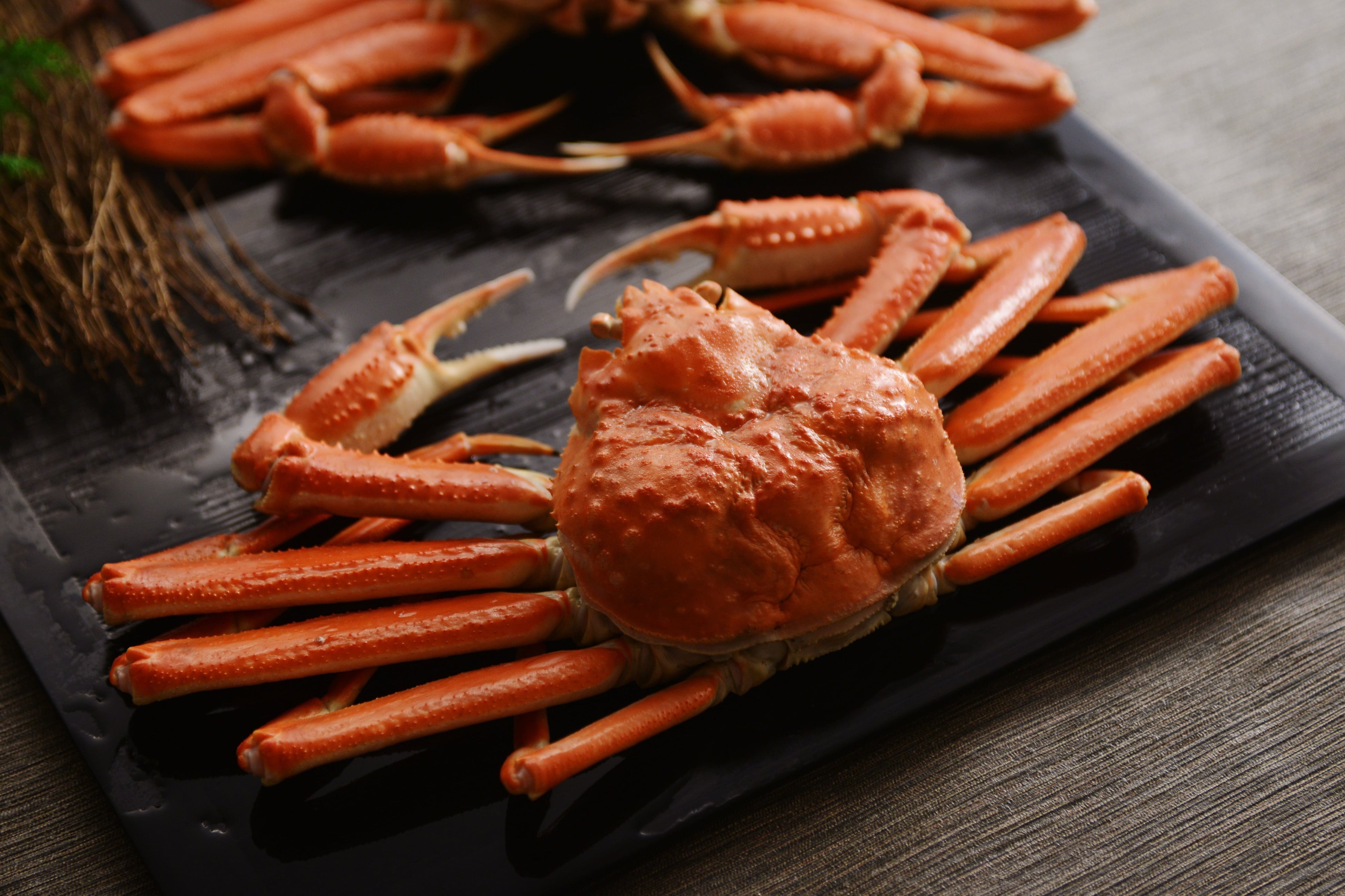 北海道弟子屈町で人気の返礼品