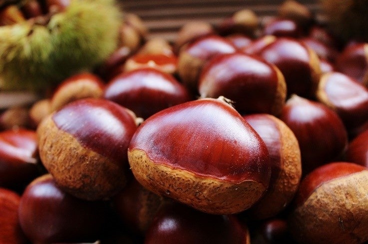 京都府京丹波町で人気の返礼品