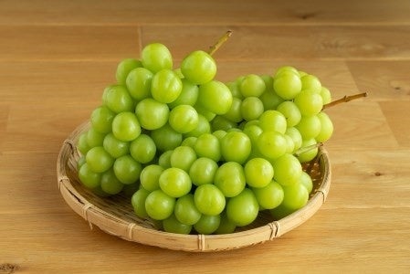 山梨県笛吹市で人気の返礼品