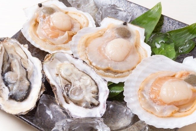 北海道北見市で人気の返礼品