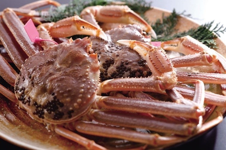 兵庫県香美町で人気の返礼品