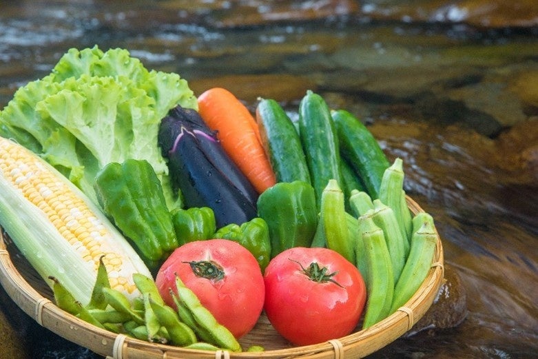 旬のお野菜詰め合わせセット