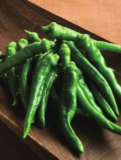 舞鶴市発祥 最上の万願寺とうがらし「万願寺甘とう」