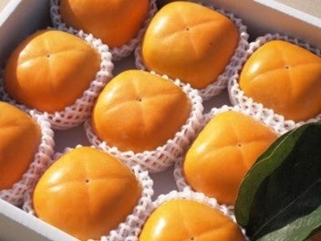 和歌山県橋本市で人気の返礼品