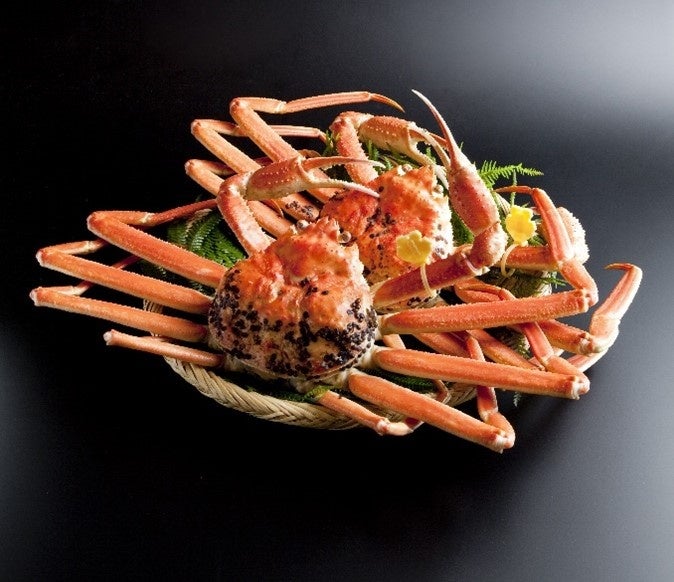 福井県越前町で人気の返礼品